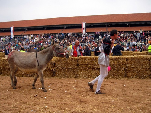 фестиваль тюфелей